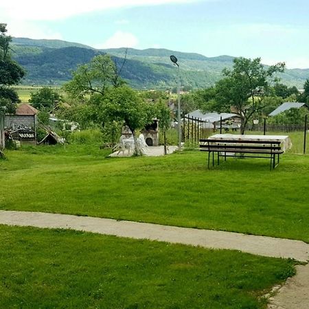 Pensiunea Adeluta Apartament Călimăneşti Extérieur photo