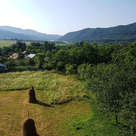 Pensiunea Adeluta Apartament Călimăneşti Extérieur photo