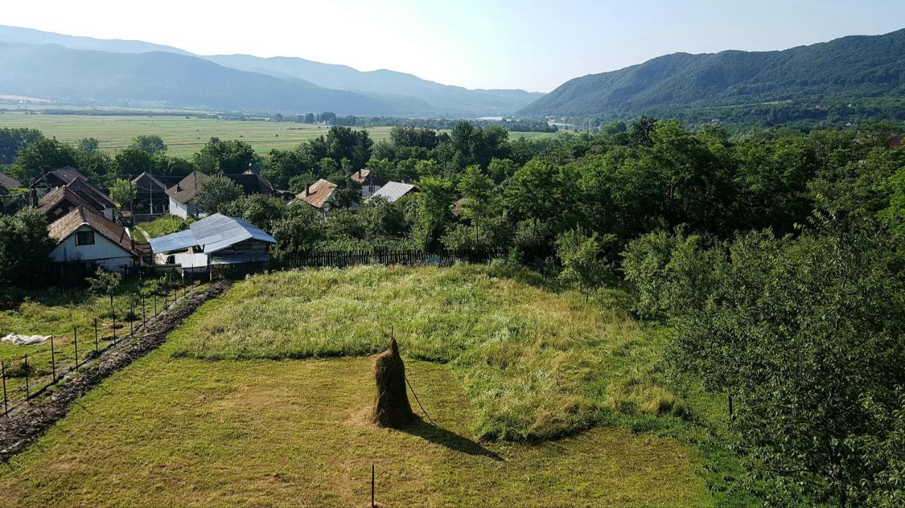 Pensiunea Adeluta Apartament Călimăneşti Extérieur photo