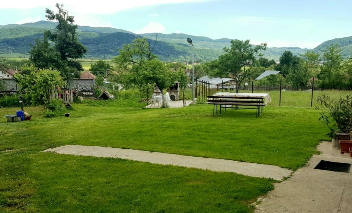 Pensiunea Adeluta Apartament Călimăneşti Extérieur photo