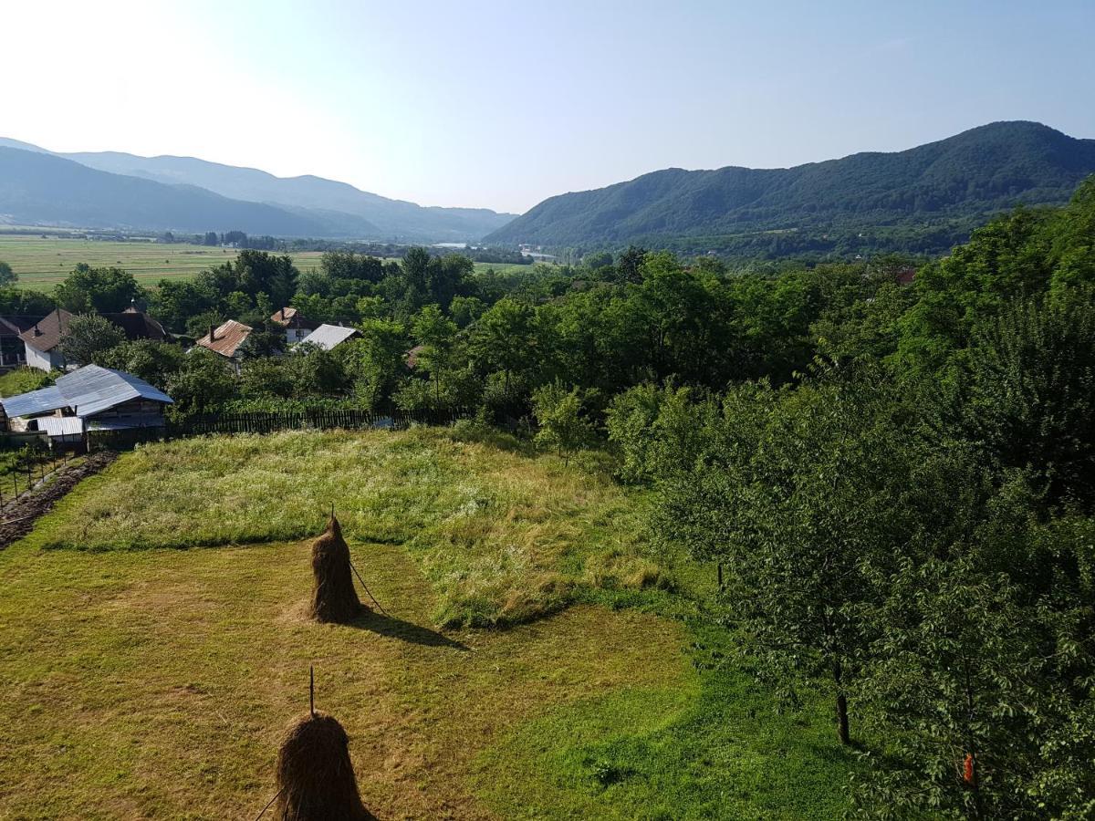 Pensiunea Adeluta Apartament Călimăneşti Extérieur photo
